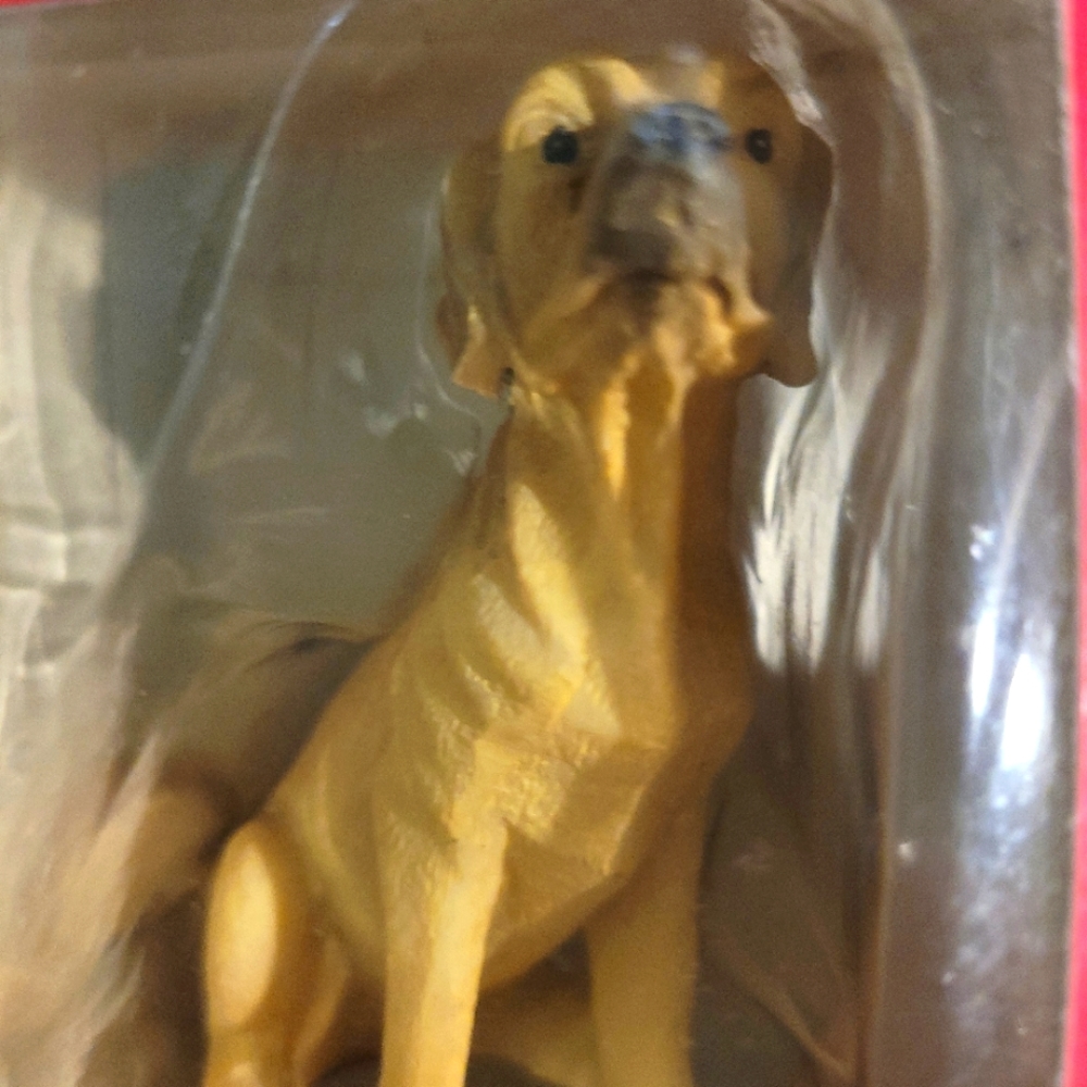 Yellow Labrador Collection Series